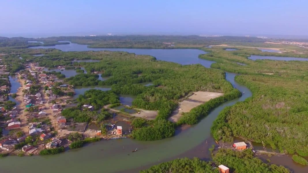Ciénaga de la Virgen: Un Ecosistema Amenazado y la Lucha por su Recuperación